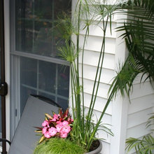 Pot Ideas