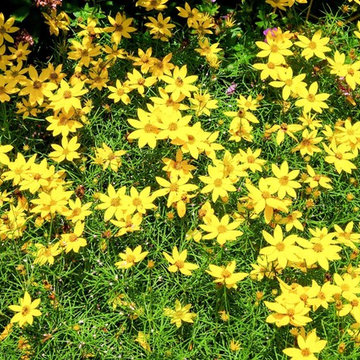 Living Landscapes