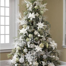 Chreestmoose Trees!