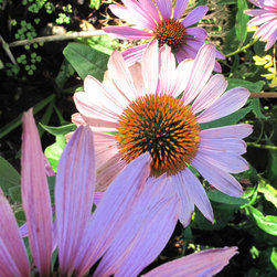 Planting - Outdoor Products