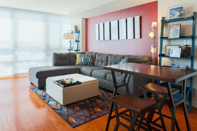 Inspiration for a contemporary living room remodel in DC Metro