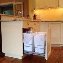 kitchen cabinet guts