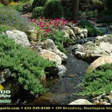 Burms & Dry Creek Beds