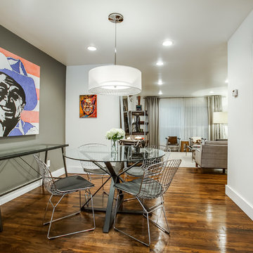 Modern Oak Lawn Condo Renovation