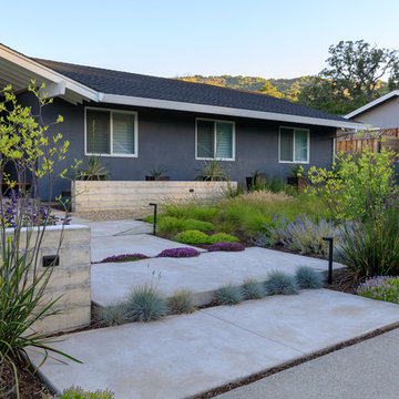 Danville Contemporary