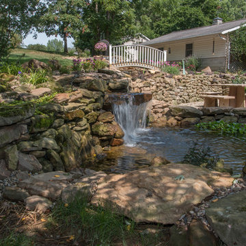 Woodland Stream & Pond