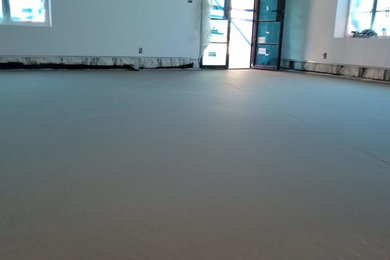 Modelo de sala de estar contemporánea con suelo de cemento y suelo gris