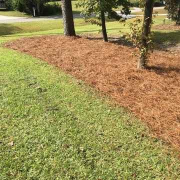 Pine Straw Spreading