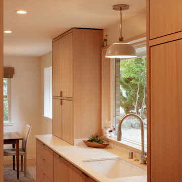 Begun/Weissman Remodel