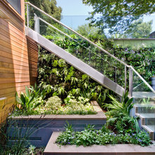 flaviam's ideas- landscaping