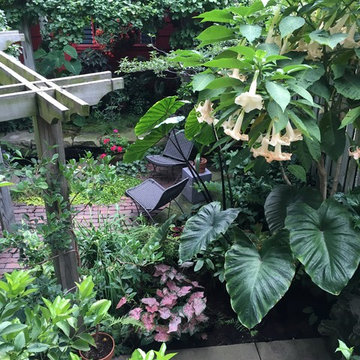 An oasis within the City (Chicago, IL)