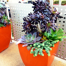 Containers