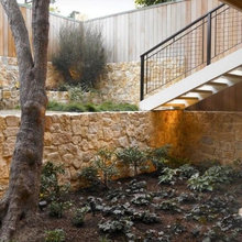 Landscape Ideas