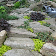Fish Pond