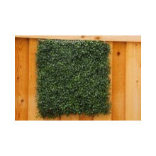 Artificial Boxwood Hedge Mat