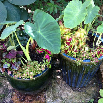 container gardens