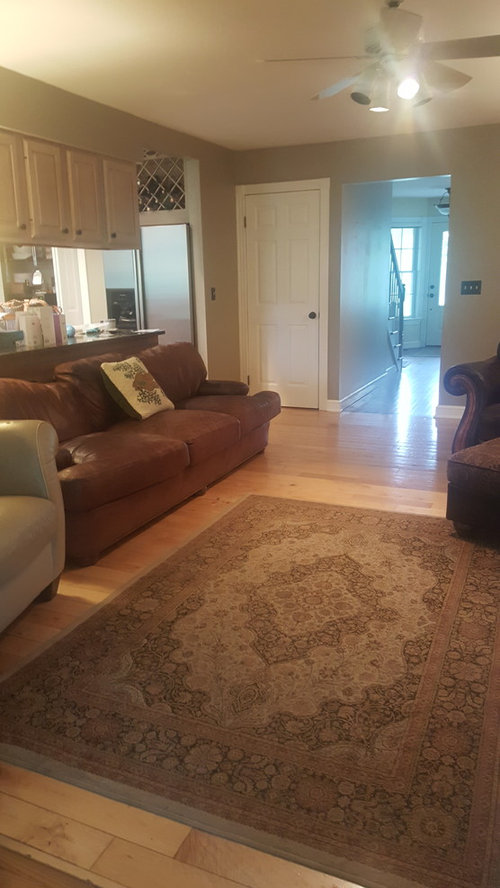 Solid Vs Patterned Rug Reddit Area Rug: Solid vs. Pattern | Houzz Forum