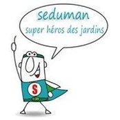 Sedum Man's photo