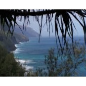 Cher Perez's photo