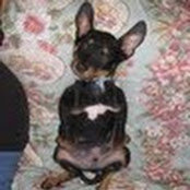 Meagan Bartholomew's photo