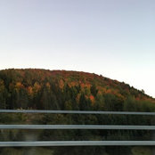 Foto von Renee Gagne