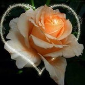 Rose Batyi's photo