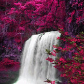 Kim Alexander's photo
