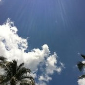 Rachel Becerra's photo