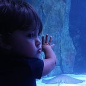 Laura Bianco's photo