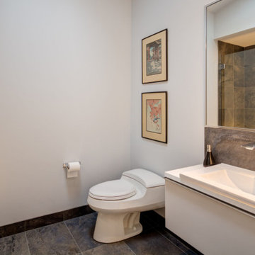 Seward Park Whole House Remodel