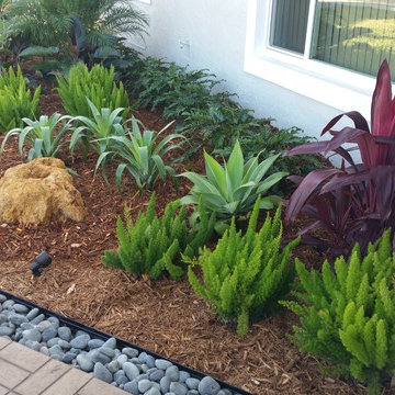 Front Yard Facelift