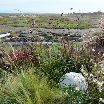 Contemporary Seaside Garden