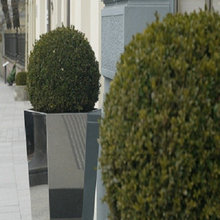 Your Office Space & Build Fresh Lively Affordable Landscaping Ideas