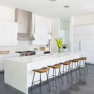 Preston Hollow Modern Minimalist Furnishing