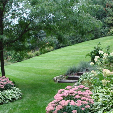 Back Yard projects : patios, sheds,pergolas,gardens