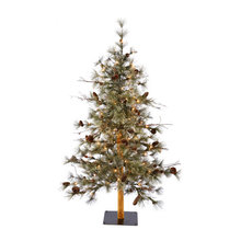 Christmas Trees