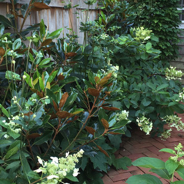 Gardens
