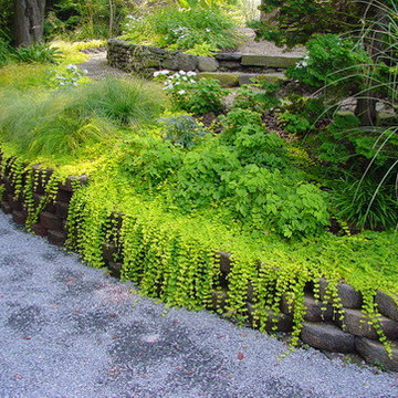 Hardscape