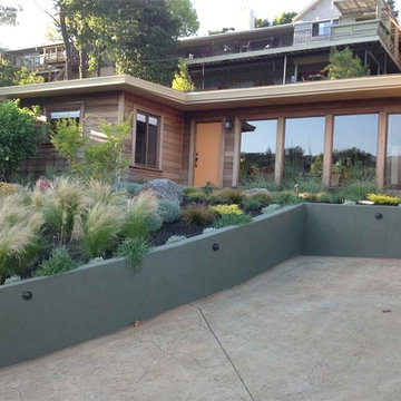 Landscape Design & Installation