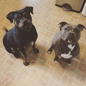 Lisa Brophy's photo