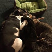 Kelly Whittaker's photo