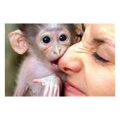 Caryn Bushue's photo