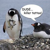 Marty Conte's photo