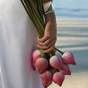 Hajar Bader's photo