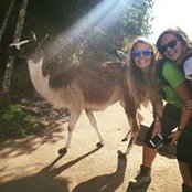Allie DeCraene's photo