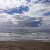 Steve Braun's photo