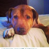 Steven Sheridan's photo