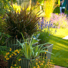 flower pots