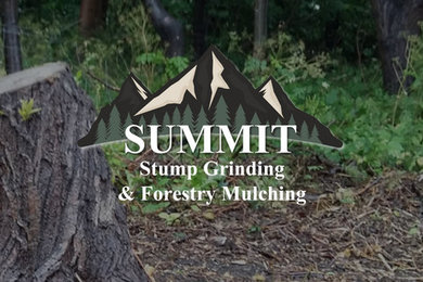 Large Oak Stump Grinding Project