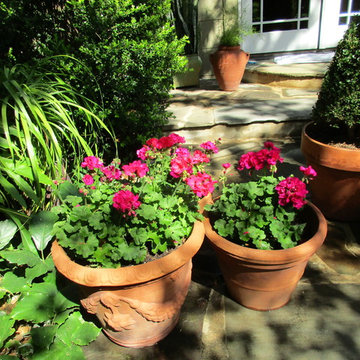 Zero Lawn Xeriscape - Return of the Native